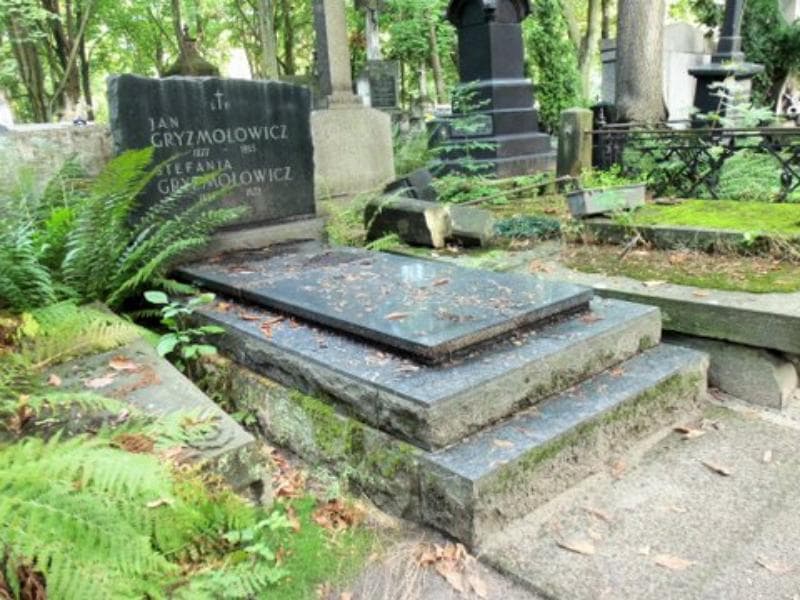 Zdjęcie grobu Stefania Gryzmołowicz (1)