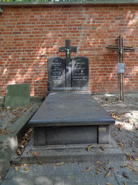 Zdjęcie grobu Janina Temeriusz (1)