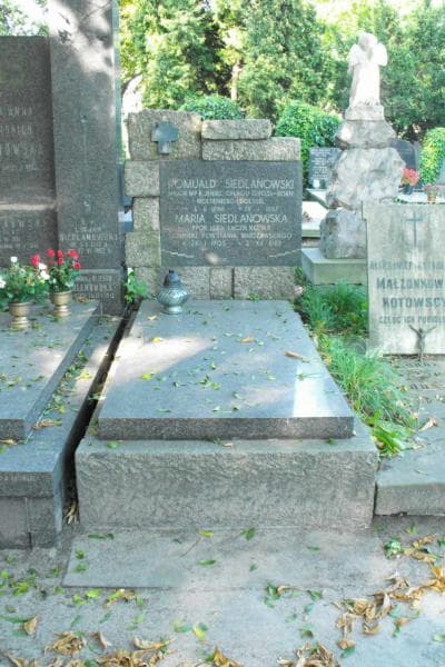 Zdjęcie grobu: Romuald Siedlanowski