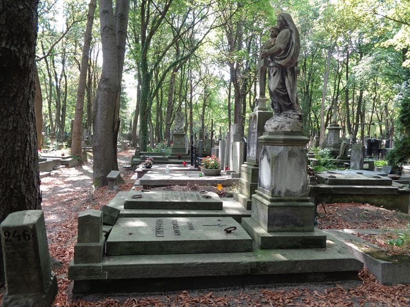 Zdjęcie grobu: Bronisława Wrońska