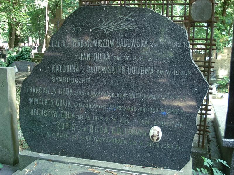 Zdjęcie grobu Wincenty Golik (1)