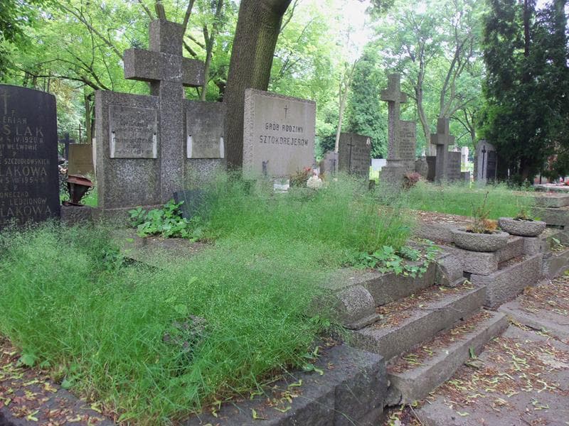 Zdjęcie grobu Wiera Dmitriewa (1)