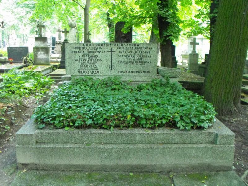 Zdjęcie grobu: Zofia Anna Dąbrowska