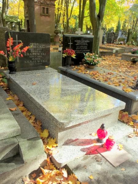 Zdjęcie grobu Maria Krajewska (1)