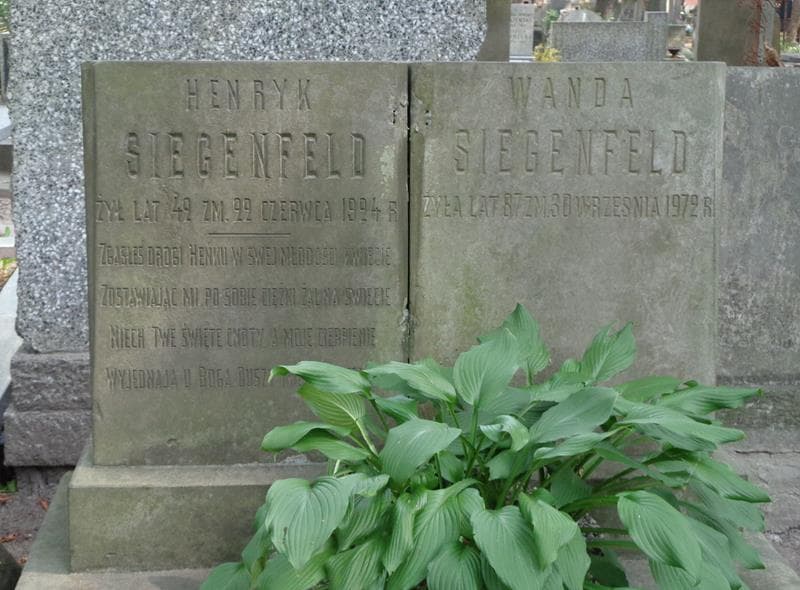 Zdjęcie grobu Henryk Siegenfeld (2)