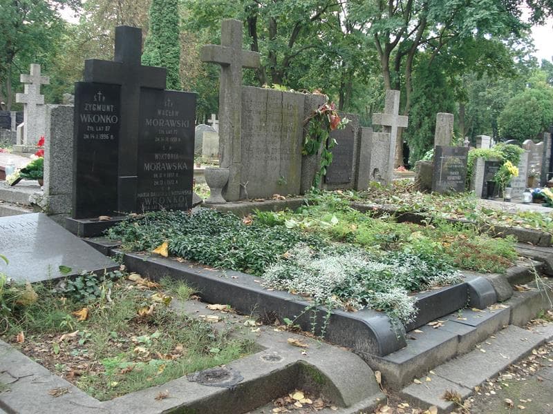 Zdjęcie grobu Zygmunt Wronko (1)
