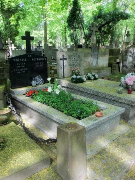 Zdjęcie grobu Janina Woźniak (1)