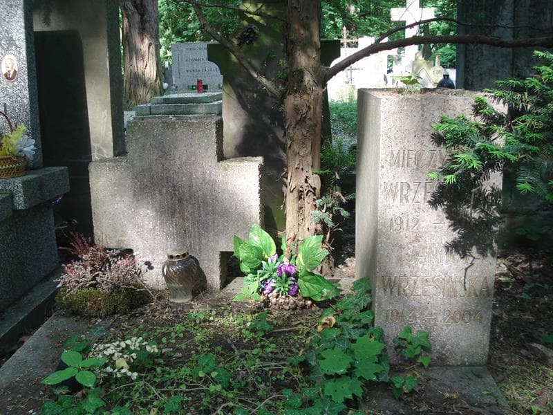 Zdjęcie grobu Mieczysław Wrzesiński (1)