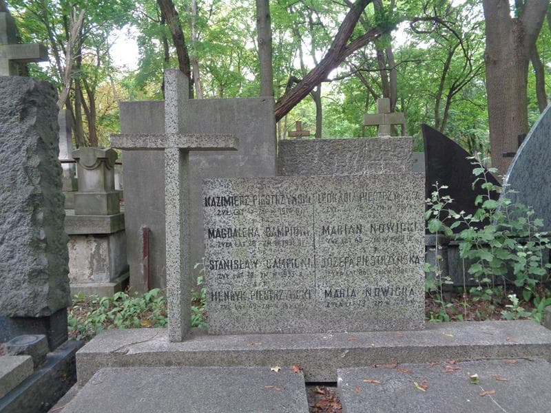 Zdjęcie grobu Henryk Piestrzyński (2)