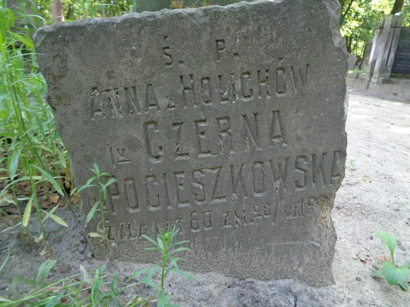 Zdjęcie grobu Anna Pocieszkowska (2)