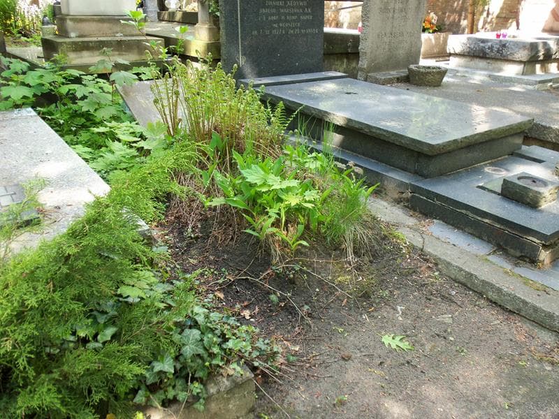 Zdjęcie grobu Marja Warchałowska (1)