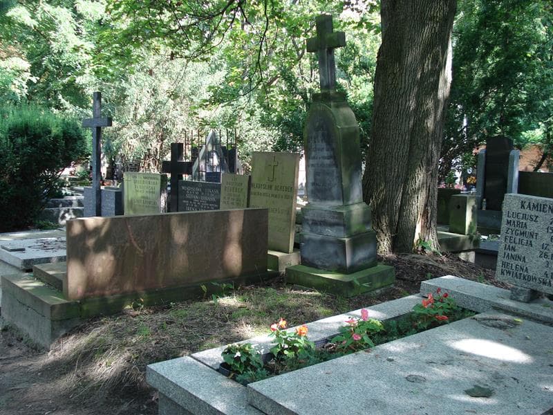 Zdjęcie grobu Helena Dybowska (1)