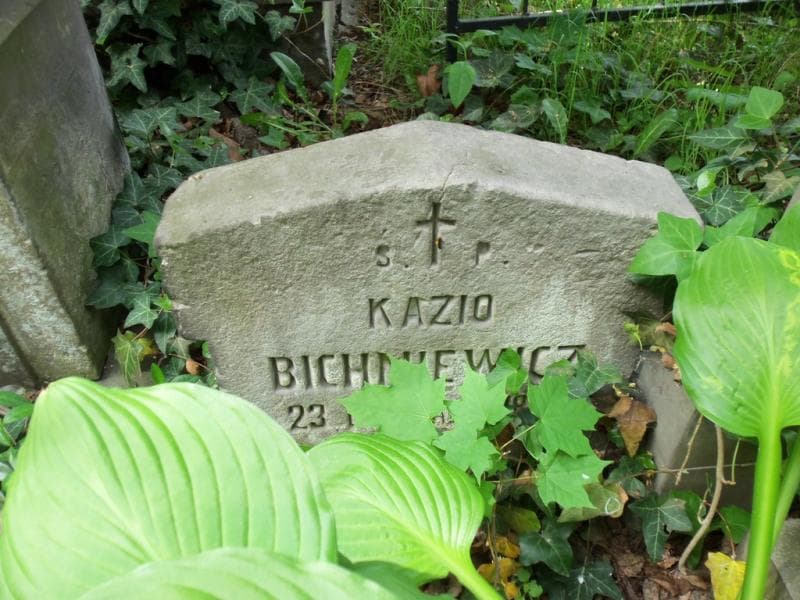 Zdjęcie grobu Jan Bichniewicz (2)