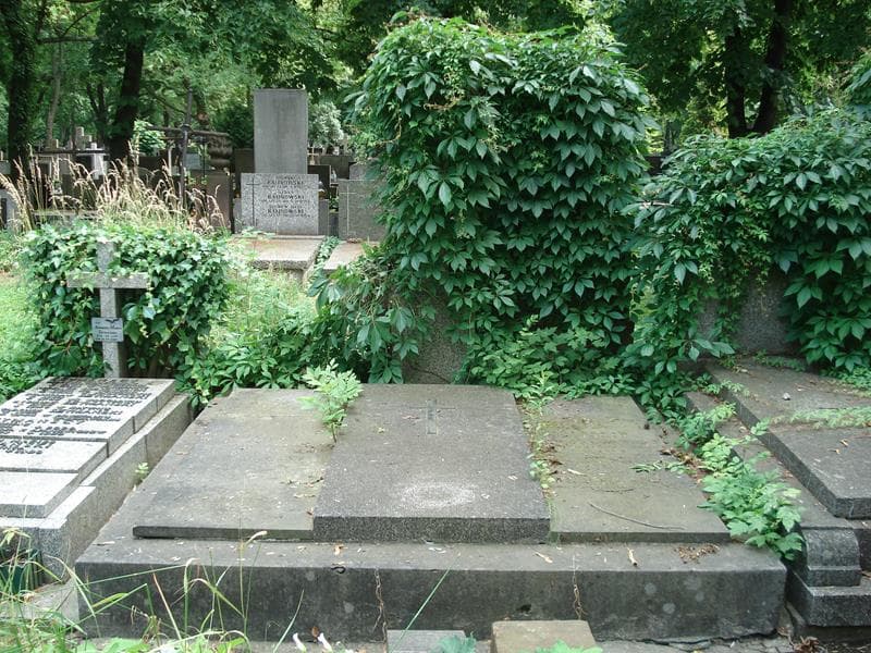 Zdjęcie grobu Zofia Drowanowska (1)