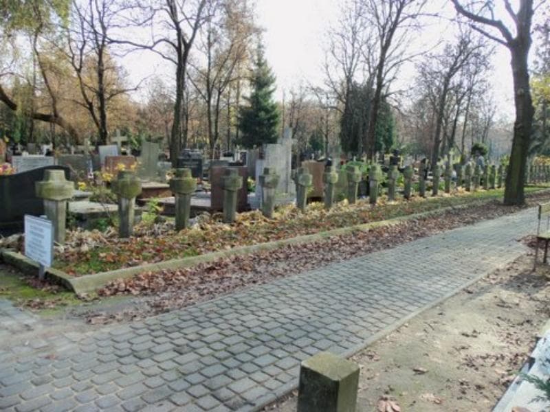 Zdjęcie grobu Alicja Bajora (2)