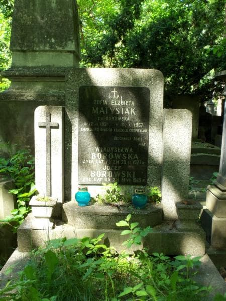 Zdjęcie grobu Józef Borowski (2)