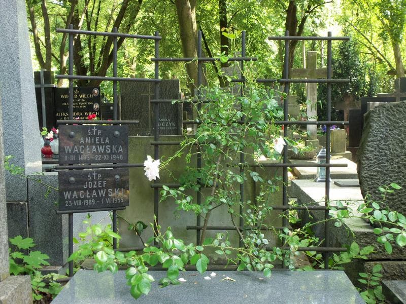Zdjęcie grobu Aniela Wacławska (2)