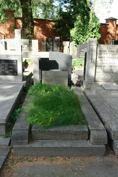 Zdjęcie grobu Stanisław Dzięciołowski (1)