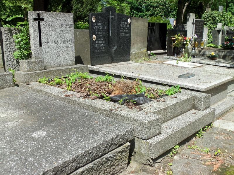 Zdjęcie grobu Helena Liwińska (1)