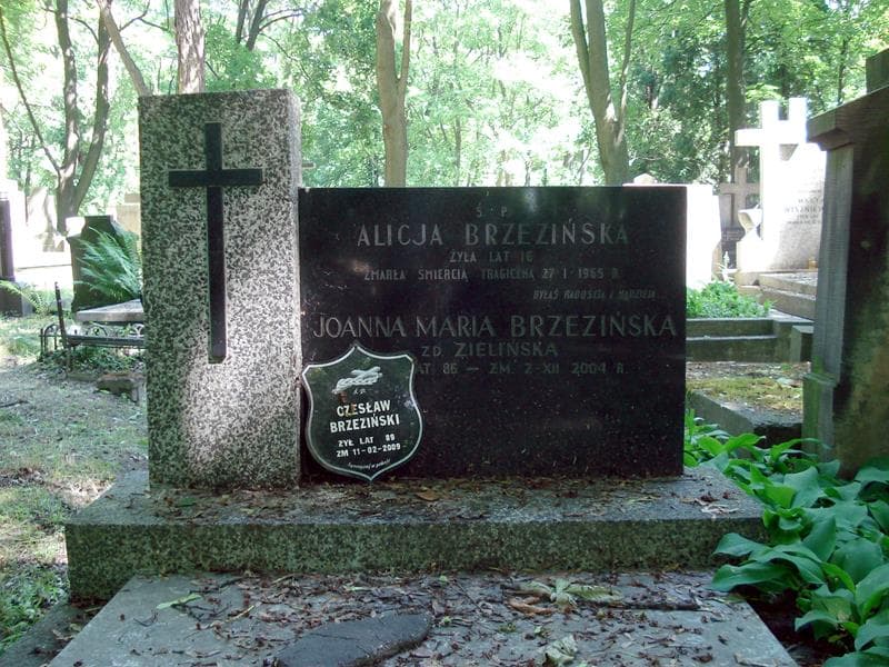 Zdjęcie grobu Alicja Brzezińska (1)