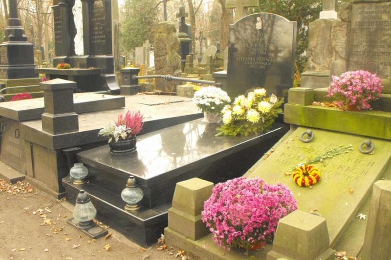 Zdjęcie grobu Henryk Rotsztajn (1)