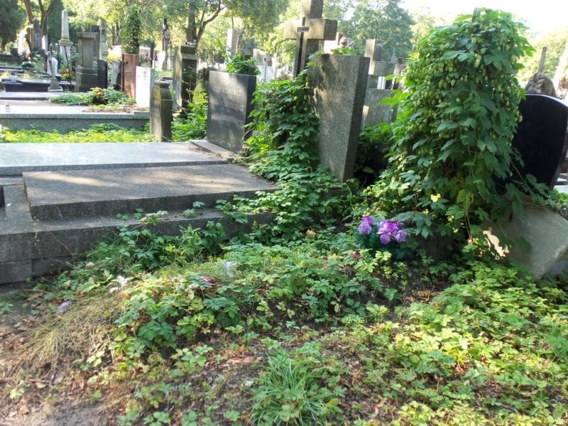 Zdjęcie grobu Andrzej Maliszewski (1)