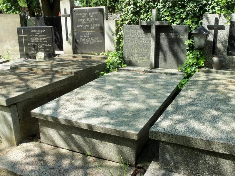 Zdjęcie grobu Stefan Ciężkowski (1)