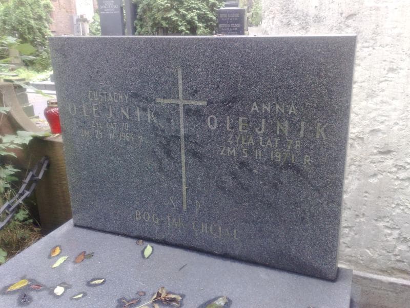 Zdjęcie grobu Anna Olejnik (1)