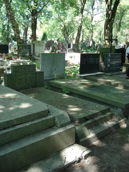 Zdjęcie grobu Halina Drewnowska (1)