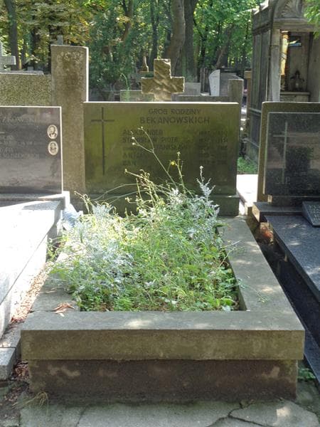 Zdjęcie grobu Anna Bekanowska (1)