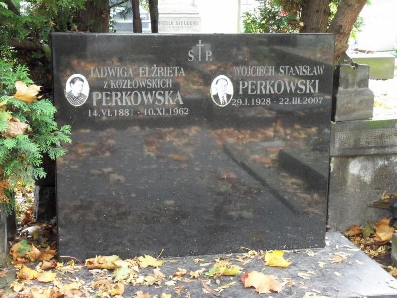 Zdjęcie grobu Wojciech Stanisław Perkowski (2)