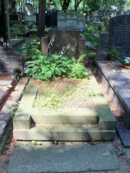 Zdjęcie grobu: Edward Szerękowski