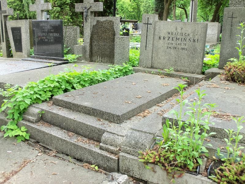 Zdjęcie grobu Wojciech Krzemiński (1)