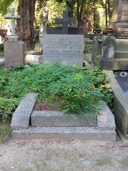 Zdjęcie grobu: Ludwika Kłossowska