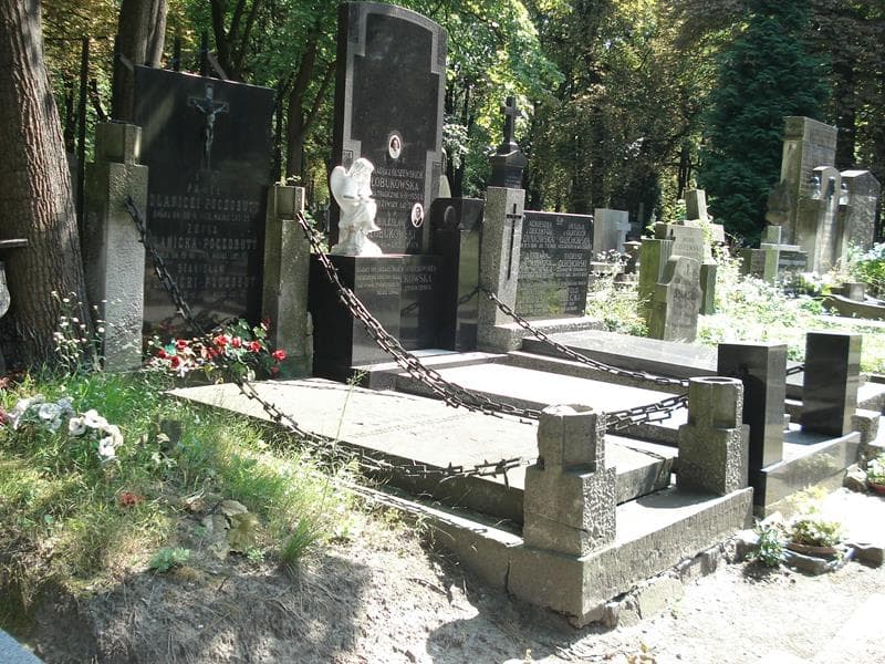 Zdjęcie grobu Stanisław Odlanicki-Poczobutt (1)