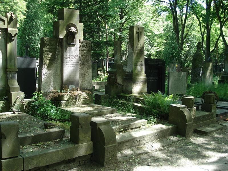 Zdjęcie grobu Romualda Biernacka (1)