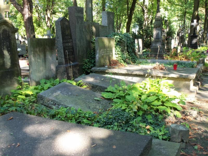 Zdjęcie grobu Józefa Dembowicz (1)