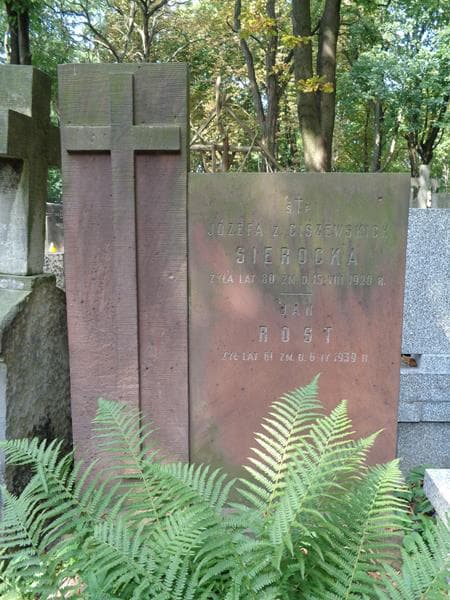 Zdjęcie grobu Jan Rost (1)