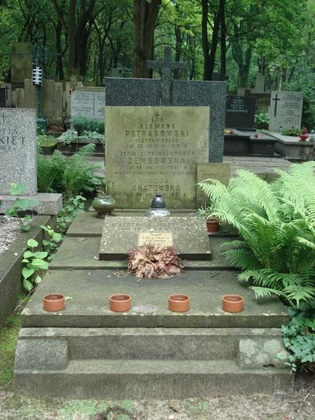 Zdjęcie grobu: Zofia Dembowska