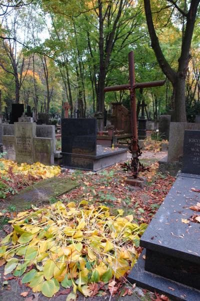 Zdjęcie grobu Anonim (1)