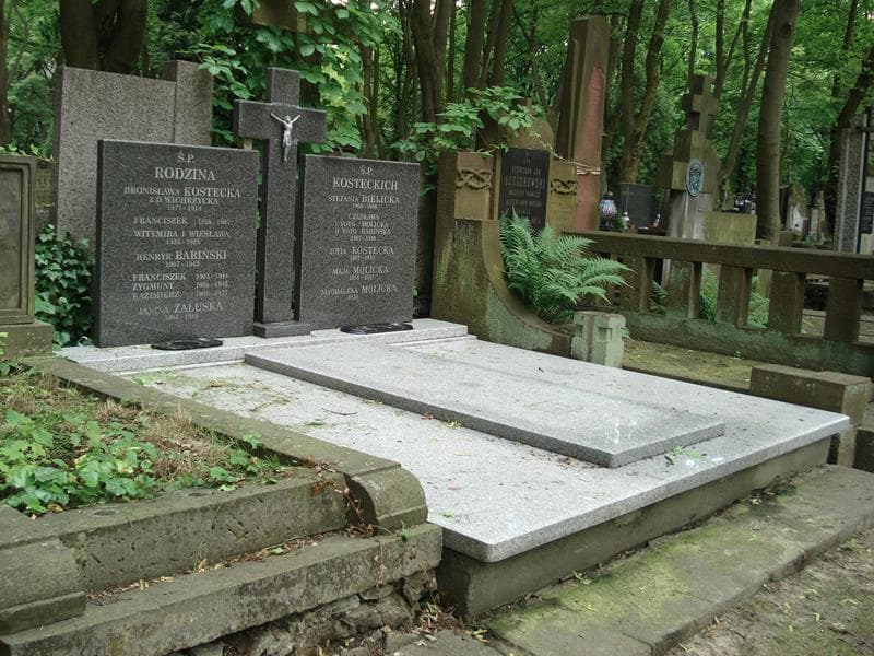 Zdjęcie grobu Henryk Babiński (1)