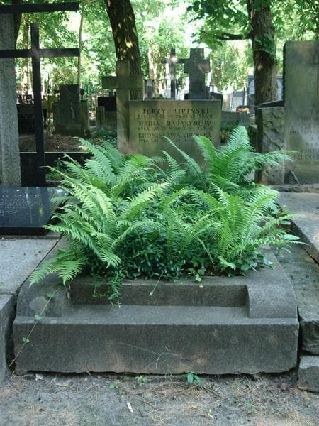 Zdjęcie grobu: Maria Harasymow