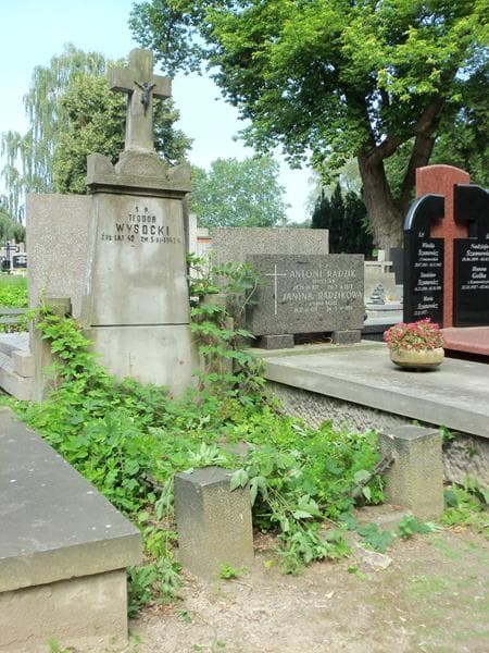 Zdjęcie grobu Teodor Wysocki (1)