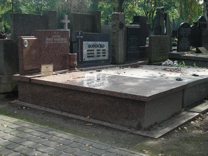 Zdjęcie grobu Renatka Pobóg Roszkowska (1)