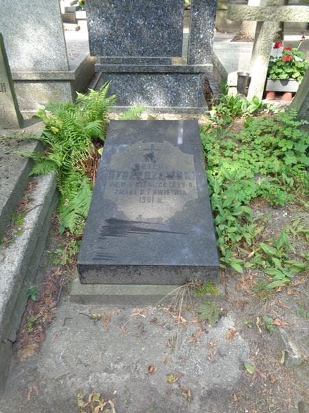 Zdjęcie grobu Antoni Stzreszewski (1)