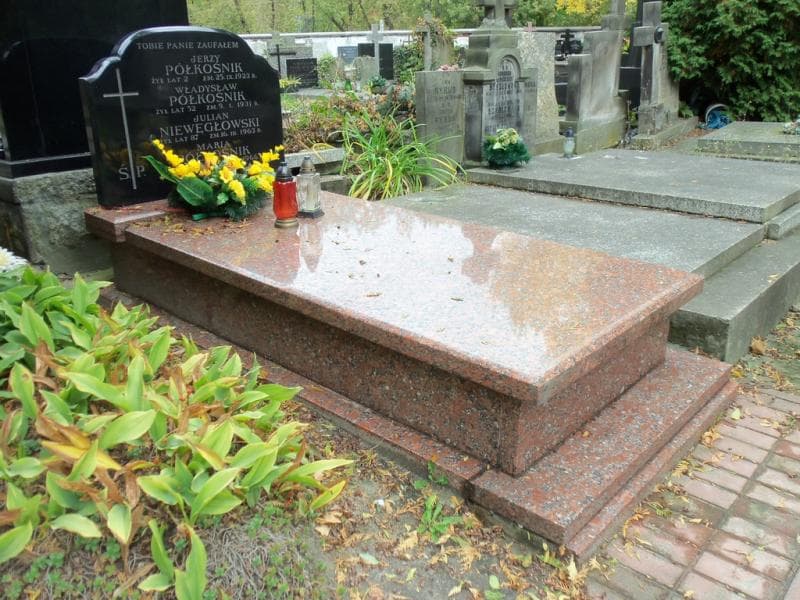 Zdjęcie grobu Julian Niewęgłowski (1)