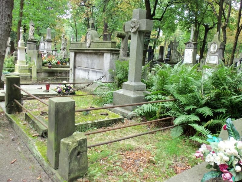 Zdjęcie grobu Alojzy Chludziński (1)