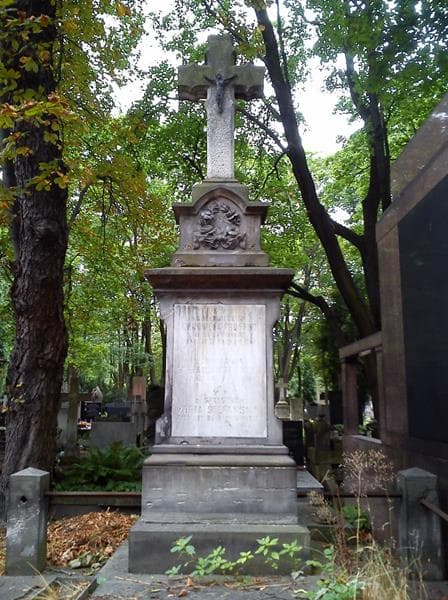 Zdjęcie grobu Stefanja Brandyś (2)
