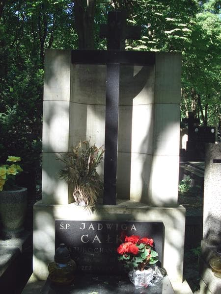 Zdjęcie grobu Jadwiga Całka (1)