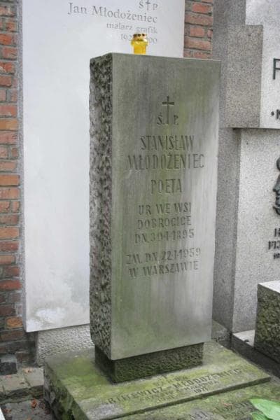 Zdjęcie grobu Wanda Arlitewicz-Młodożeniec (1)
